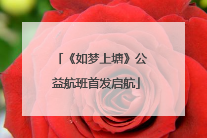 《如梦上塘》公益航班首发启航
