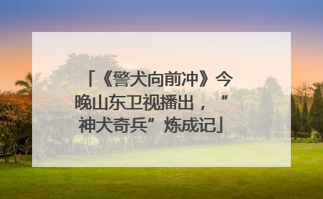 《警犬向前冲》今晚山东卫视播出，“神犬奇兵”炼成记