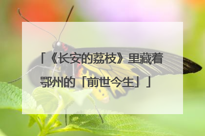 《长安的荔枝》里藏着鄂州的「前世今生」
