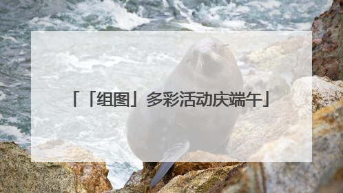 「组图」多彩活动庆端午