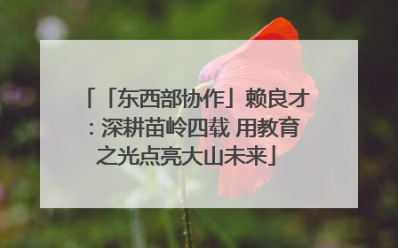 「东西部协作」赖良才：深耕苗岭四载 用教育之光点亮大山未来