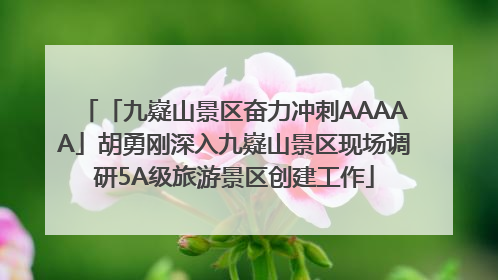 「九嶷山景区奋力冲刺AAAAA」胡勇刚深入九嶷山景区现场调研5A级旅游景区创建工作