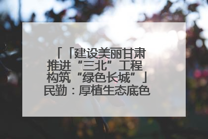 「建设美丽甘肃 推进“三北”工程 构筑“绿色长城”」民勤：厚植生态底色 筑牢绿色屏障