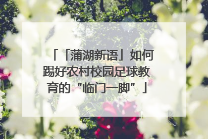 「蒲湖新语」如何踢好农村校园足球教育的“临门一脚”