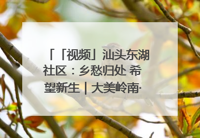「视频」汕头东湖社区：乡愁归处 希望新生｜大美岭南·百村焕新记