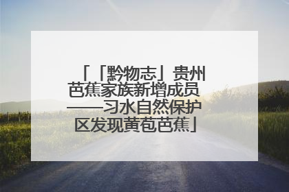 「黔物志」贵州芭蕉家族新增成员——习水自然保护区发现黄苞芭蕉