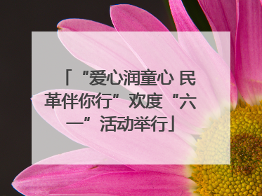“爱心润童心 民革伴你行”欢度“六一”活动举行