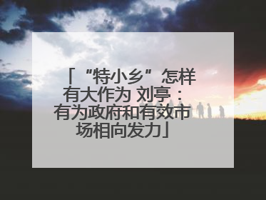 “特小乡”怎样有大作为 刘亭：有为政府和有效市场相向发力