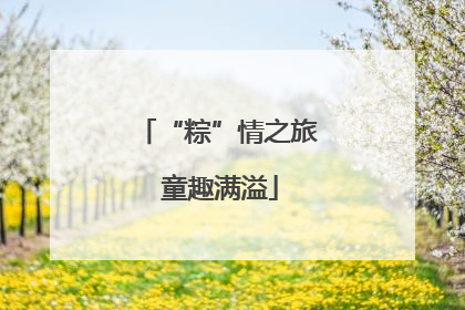 “粽”情之旅 童趣满溢