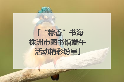 “粽香”书海 株洲市图书馆端午活动精彩纷呈