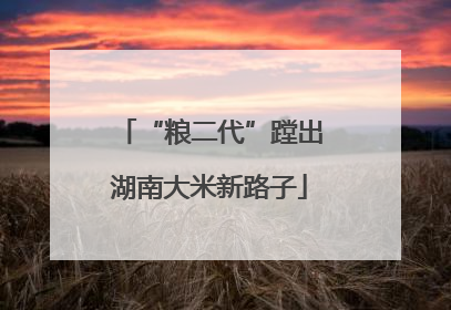 “粮二代”蹚出湖南大米新路子