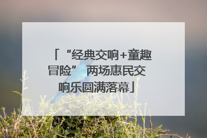 “经典交响+童趣冒险” 两场惠民交响乐圆满落幕