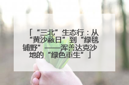 “三北”生态行：从“黄沙蔽日”到“绿毯铺野”——浑善达克沙地的“绿色重生”