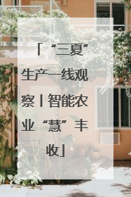 “三夏”生产一线观察丨智能农业“慧”丰收