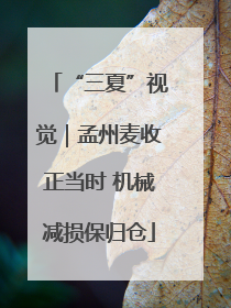 “三夏”视觉｜孟州麦收正当时 机械减损保归仓