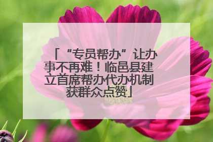 “专员帮办”让办事不再难！临邑县建立首席帮办代办机制获群众点赞
