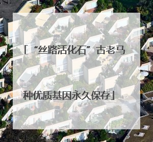 “丝路活化石”古老马种优质基因永久保存