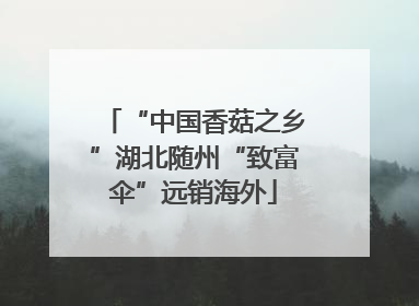 “中国香菇之乡”湖北随州“致富伞”远销海外