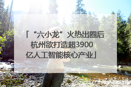 “六小龙”火热出圈后 杭州欲打造超3900亿人工智能核心产业