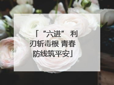 “六进” 利刃斩毒根 青春防线筑平安