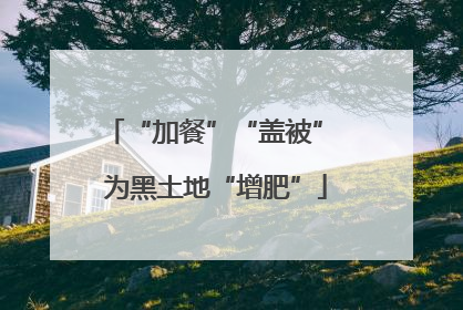 “加餐”“盖被” 为黑土地“增肥”