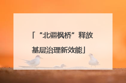 “北疆枫桥”释放基层治理新效能