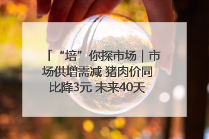 “培”你探市场｜市场供增需减 猪肉价同比降3元 未来40天便宜猪肉敞开吃