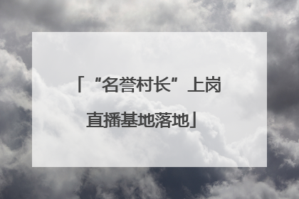 “名誉村长”上岗 直播基地落地