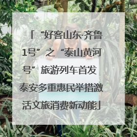“好客山东·齐鲁1号”之“泰山黄河号”旅游列车首发 泰安多重惠民举措激活文旅消费新动能