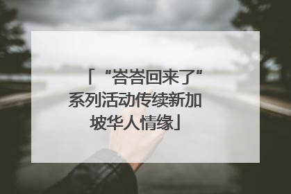 “峇峇回来了”系列活动传续新加坡华人情缘