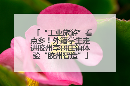 “工业旅游”看点多！外籍学生走进胶州李哥庄镇体验“胶州智造”