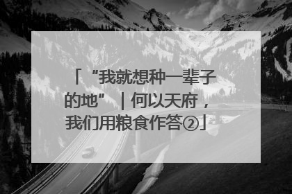“我就想种一辈子的地”｜何以天府，我们用粮食作答②