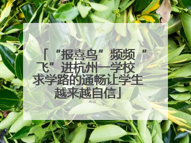 “报喜鸟”频频“飞”进杭州一学校 求学路的通畅让学生越来越自信