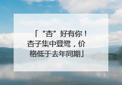 “杏”好有你！杏子集中登鹭，价格低于去年同期