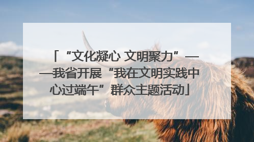 “文化凝心 文明聚力”——我省开展“我在文明实践中心过端午”群众主题活动