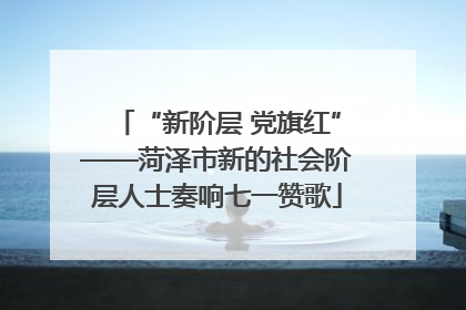 “新阶层 党旗红”——菏泽市新的社会阶层人士奏响七一赞歌