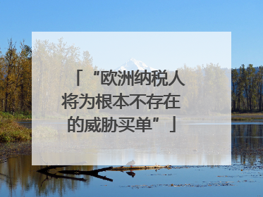 “欧洲纳税人将为根本不存在的威胁买单”