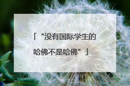 “没有国际学生的哈佛不是哈佛”