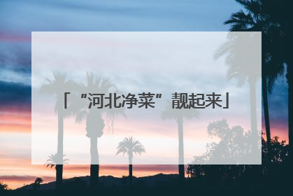 “河北净菜”靓起来