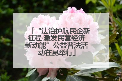 “法治护航民企新征程·激发民营经济新动能”公益普法活动在昆举行