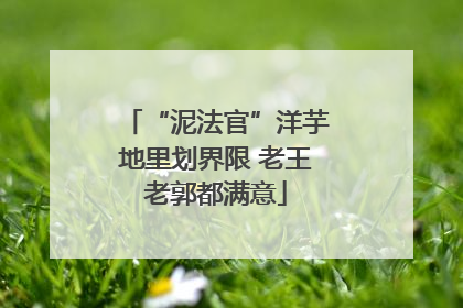 “泥法官”洋芋地里划界限 老王老郭都满意