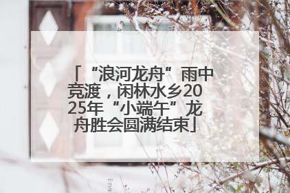 “浪河龙舟”雨中竞渡，闲林水乡2025年“小端午”龙舟胜会圆满结束