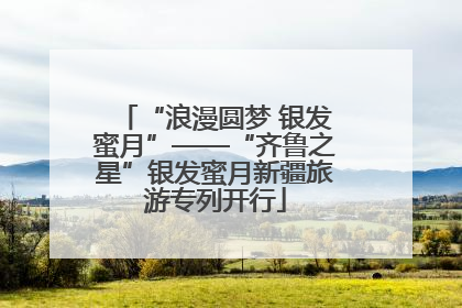 “浪漫圆梦 银发蜜月”——“齐鲁之星”银发蜜月新疆旅游专列开行