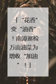 “花香”变“油香”！南漳巡检万亩油菜为增收“加油”！
