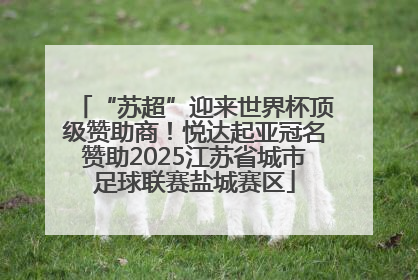 “苏超”迎来世界杯顶级赞助商！悦达起亚冠名赞助2025江苏省城市足球联赛盐城赛区