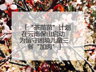 “茶苗苗”计划在云南保山启动 为留守困境儿童三餐“加肉”