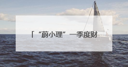 “蔚小理”一季度财报分析：理想盈利稳健 小鹏亏损收窄