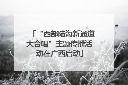“西部陆海新通道大合唱”主题传播活动在广西启动