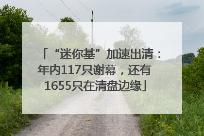 “迷你基”加速出清：年内117只谢幕，还有1655只在清盘边缘