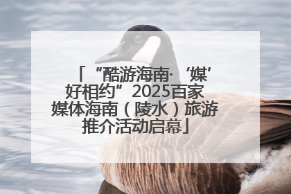 “酷游海南·‘媒’好相约”2025百家媒体海南（陵水）旅游推介活动启幕